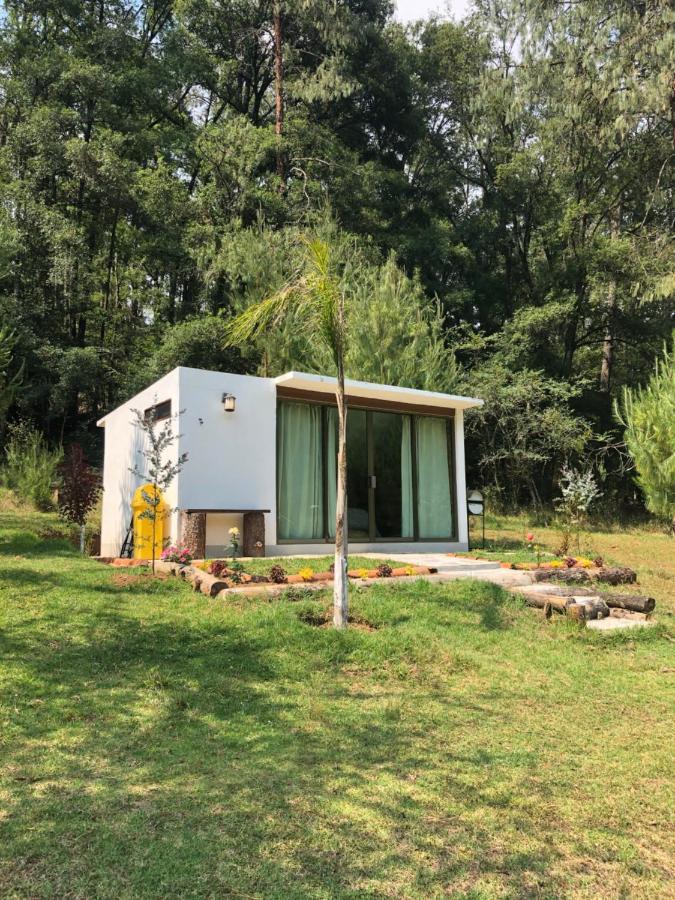 Romanticas Cabanas En Bosque Acaxochitlán 외부 사진