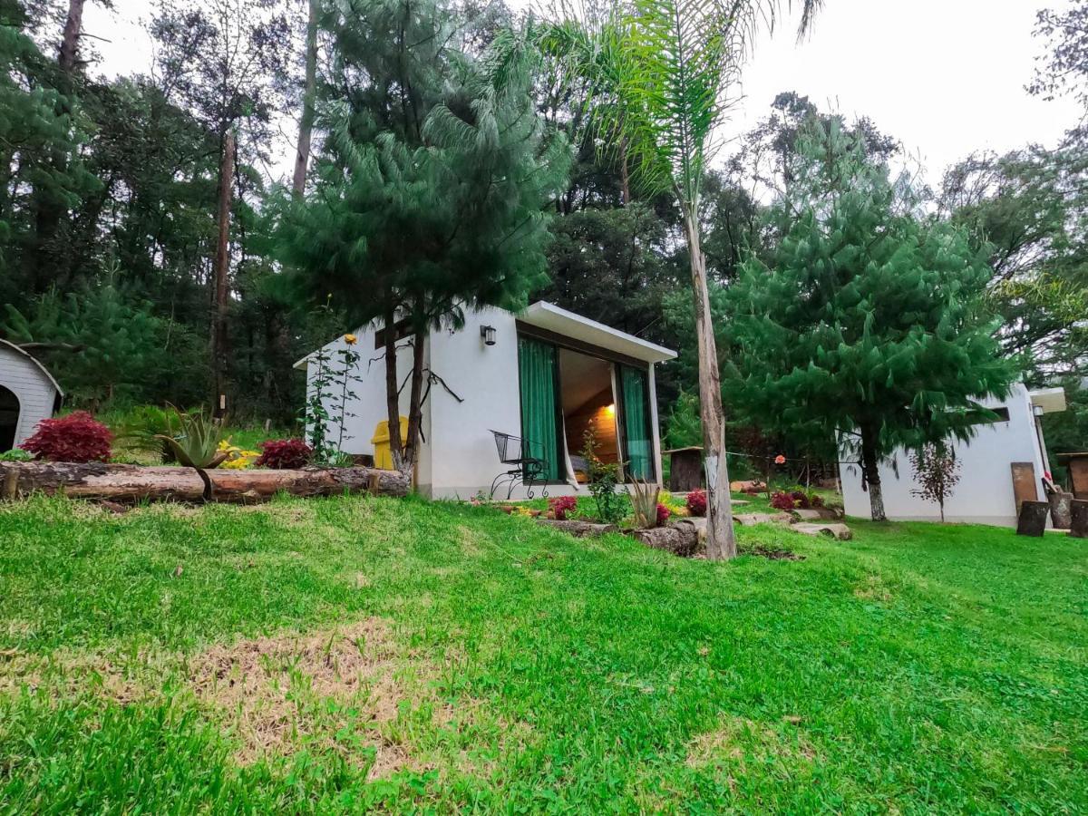 Romanticas Cabanas En Bosque Acaxochitlán 외부 사진