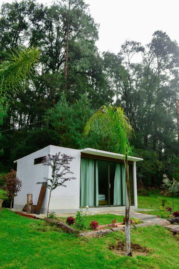 Romanticas Cabanas En Bosque Acaxochitlán 외부 사진