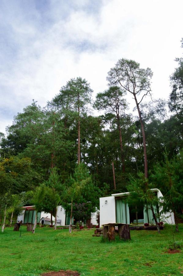 Romanticas Cabanas En Bosque Acaxochitlán 외부 사진