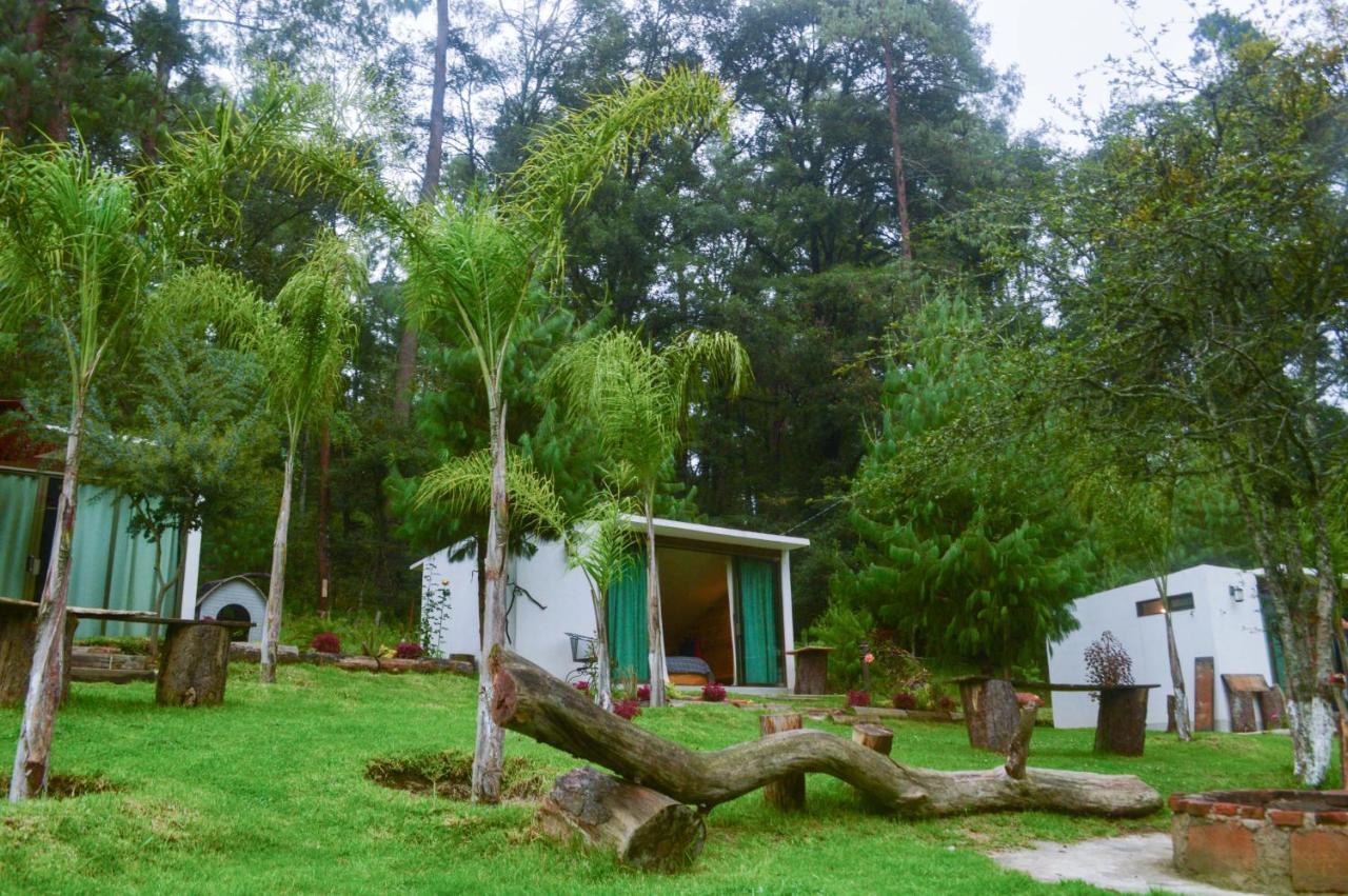 Romanticas Cabanas En Bosque Acaxochitlán 외부 사진