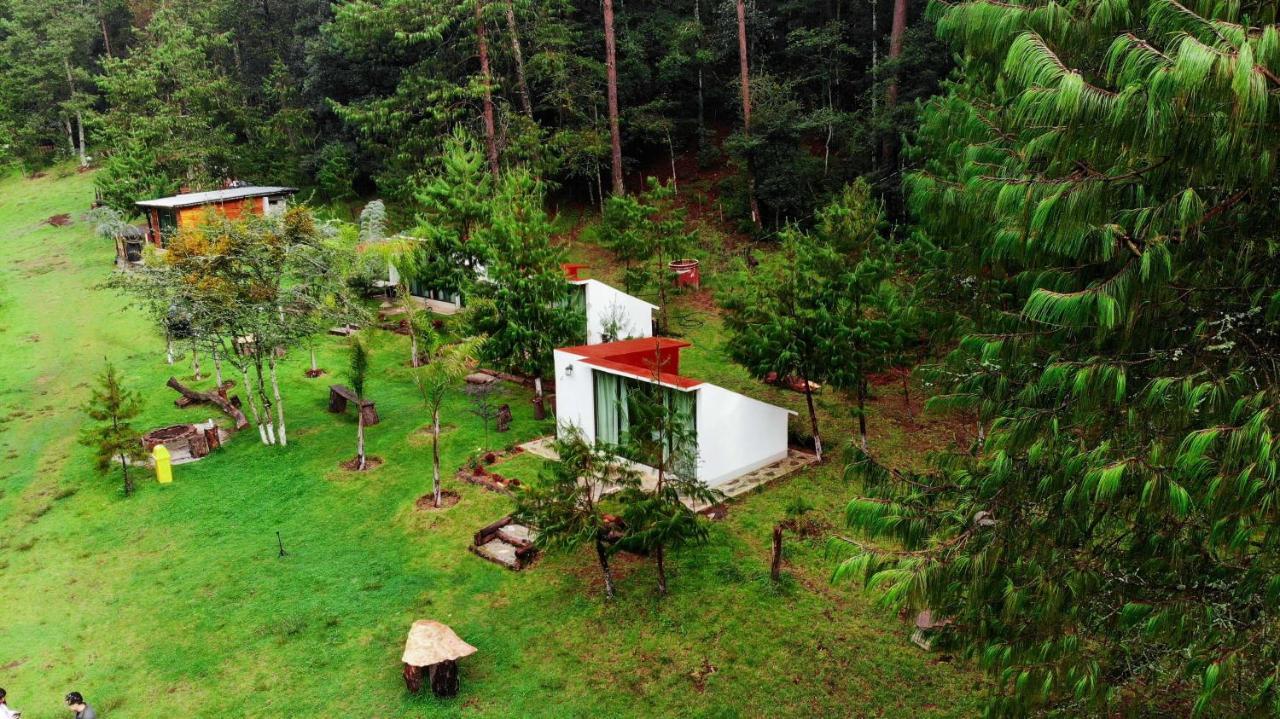 Romanticas Cabanas En Bosque Acaxochitlán 외부 사진